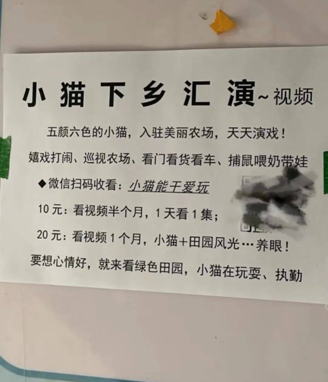 全網(wǎng)追蹤的“賣貓片”可疑廣告<strong></p>
<p>鋼筋網(wǎng)片
</strong>，結(jié)果出人意料:鋼筋網(wǎng)片
