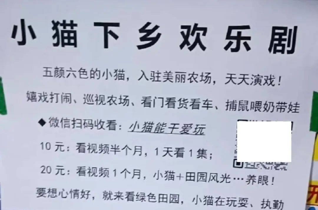 全網(wǎng)追蹤的“賣貓片”可疑廣告<strong></p>
<p>鋼筋網(wǎng)片
</strong>，結(jié)果出人意料:鋼筋網(wǎng)片
