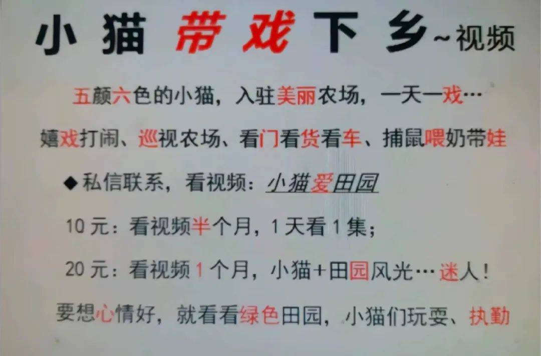 全網(wǎng)追蹤的“賣貓片”可疑廣告<strong></p>
<p>鋼筋網(wǎng)片
</strong>，結(jié)果出人意料:鋼筋網(wǎng)片
