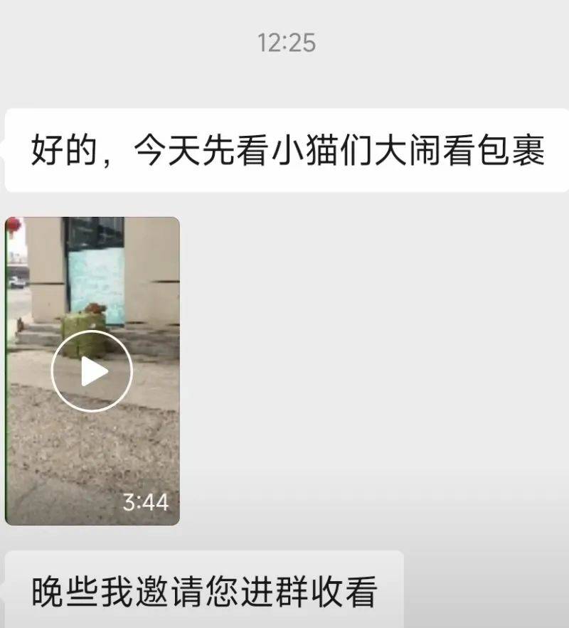全網(wǎng)追蹤的“賣貓片”可疑廣告<strong></p>
<p>鋼筋網(wǎng)片
</strong>，結(jié)果出人意料:鋼筋網(wǎng)片
