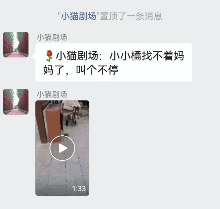 全網(wǎng)追蹤的“賣貓片”可疑廣告<strong></p>
<p>鋼筋網(wǎng)片
</strong>，結(jié)果出人意料:鋼筋網(wǎng)片
