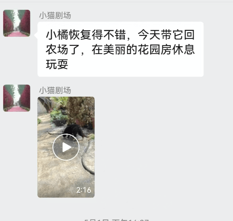 全網(wǎng)追蹤的“賣貓片”可疑廣告<strong></p>
<p>鋼筋網(wǎng)片
</strong>，結(jié)果出人意料:鋼筋網(wǎng)片
